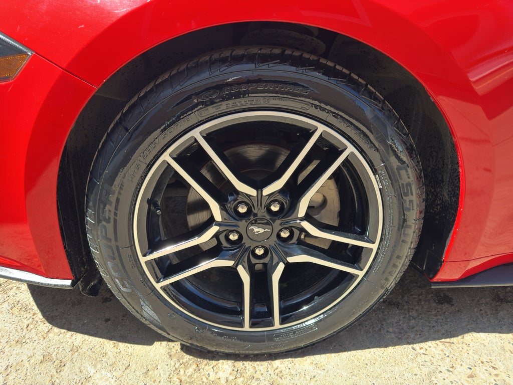 2019 Ford Mustang EcoBoost Premium