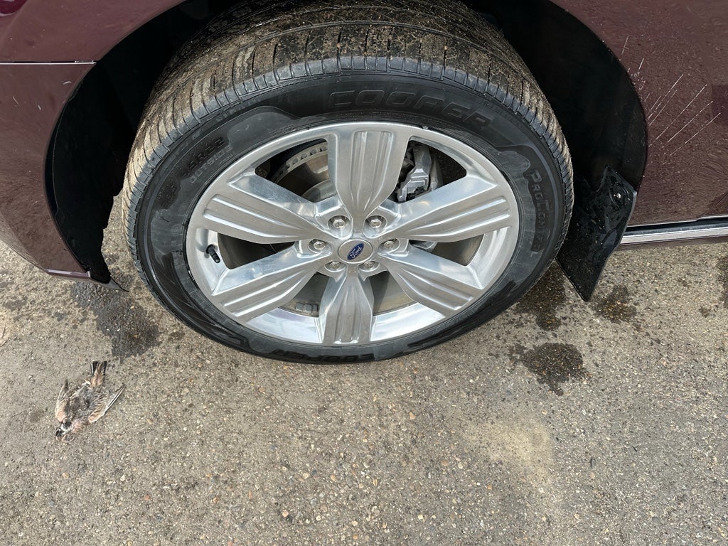 2023 Ford Expedition MAX Platinum