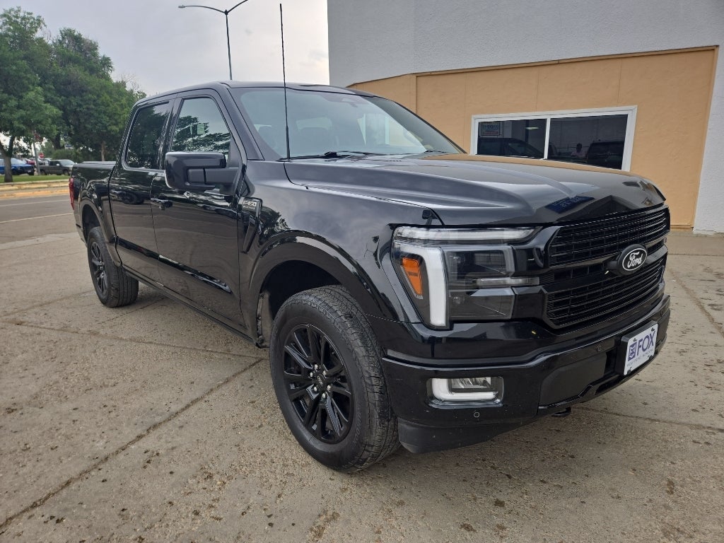 2024 Ford F-150 Platinum